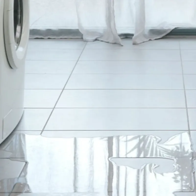 Appliance Leak Cleanup in Hamilton County, FL