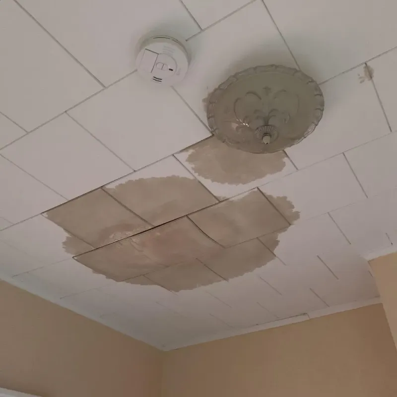 Ceiling Water Damage Repair in Hamilton County, FL