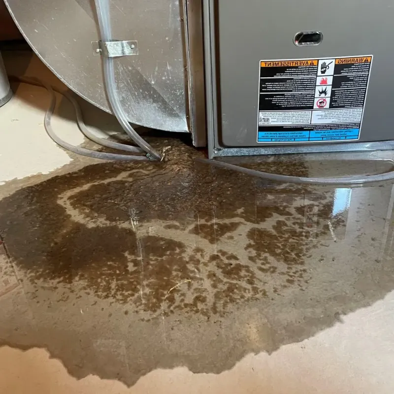 Pipe Burst and Leak Restoration in Hamilton County, FL