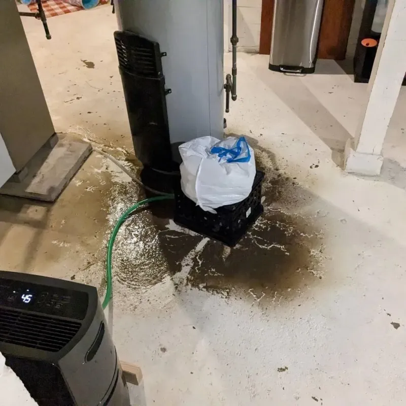 Sewage Backup Cleanup Service in Hamilton County, FL
